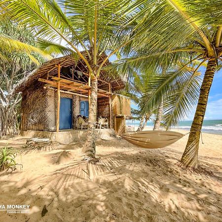 The Alpha Monkey Hotel & Tree House Tangalle Exterior foto