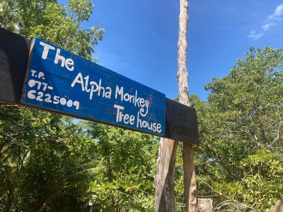 The Alpha Monkey Hotel & Tree House Tangalle Exterior foto