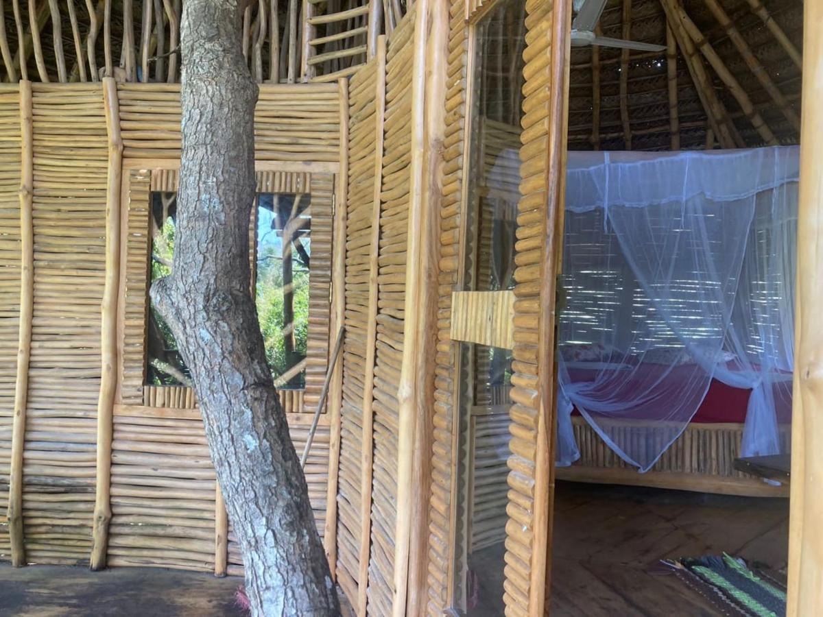 The Alpha Monkey Hotel & Tree House Tangalle Exterior foto