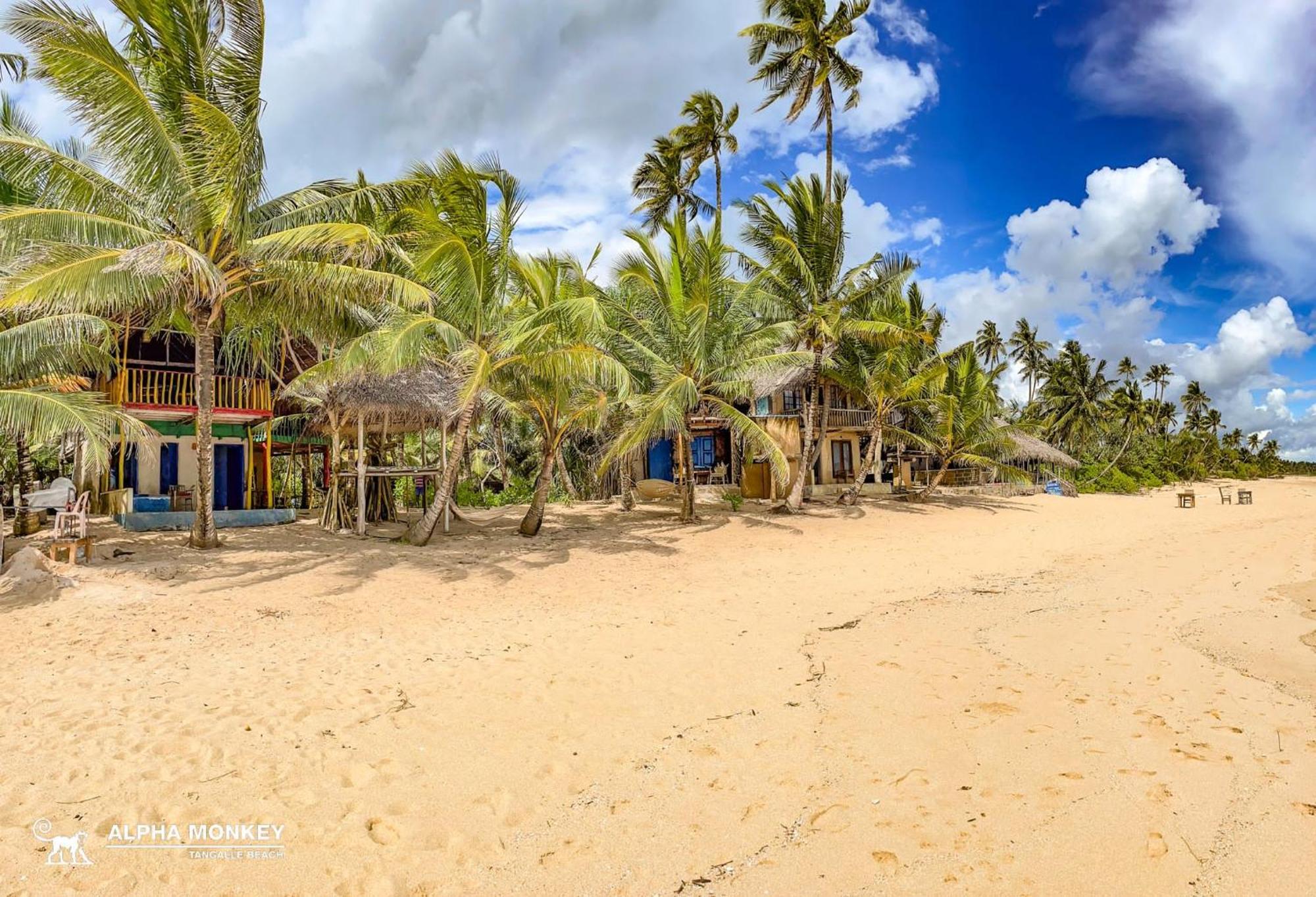 The Alpha Monkey Hotel & Tree House Tangalle Exterior foto