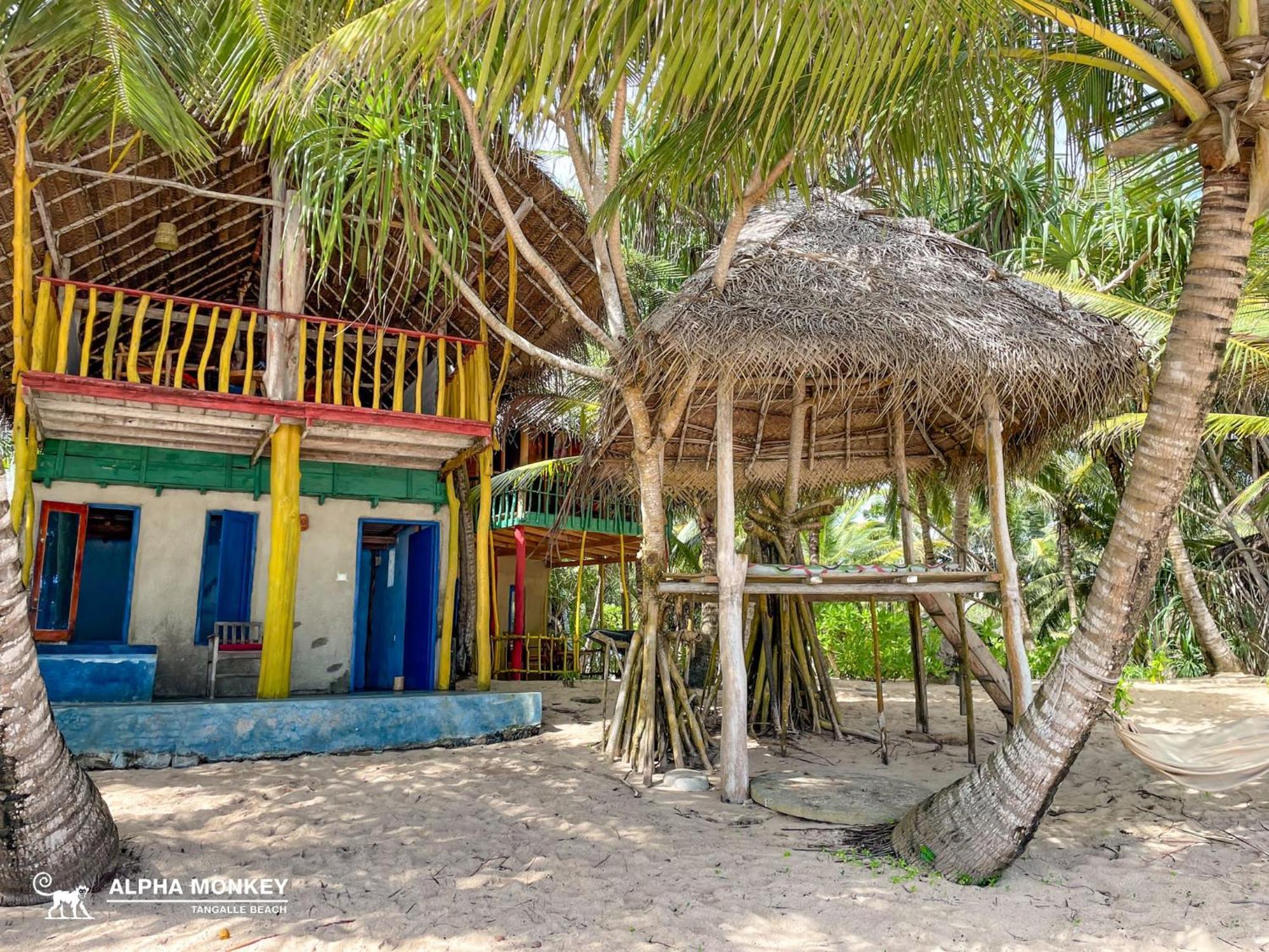 The Alpha Monkey Hotel & Tree House Tangalle Cameră foto